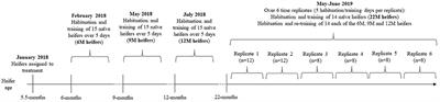 The Effects of Dairy Heifer Age at Training on Rate of Learning and Retention of Learning in a Virtual Fencing Feed Attractant Trial